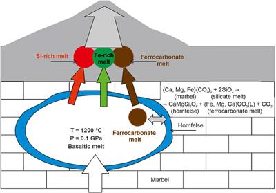 Mechanism of carbonate assimilation by intraplate basaltic magma and liquid immiscibility: example of Wangtian’e volcano (Changbaishan volcanic area, NE China)